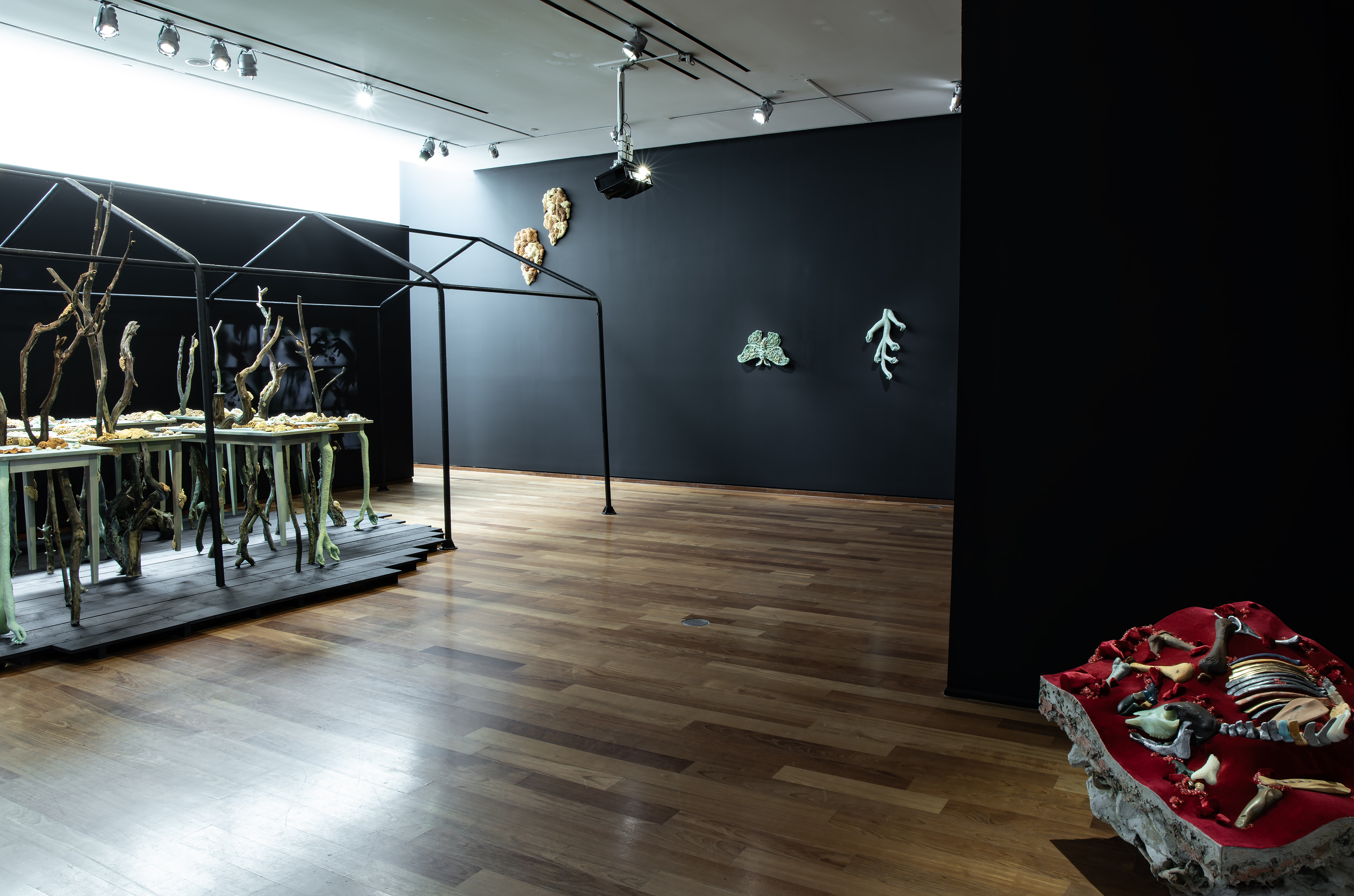 Petrichor, installation view.  Nicholas Crombach and Nurielle Stern. MacLaren Art Centre, Laking Gallery.