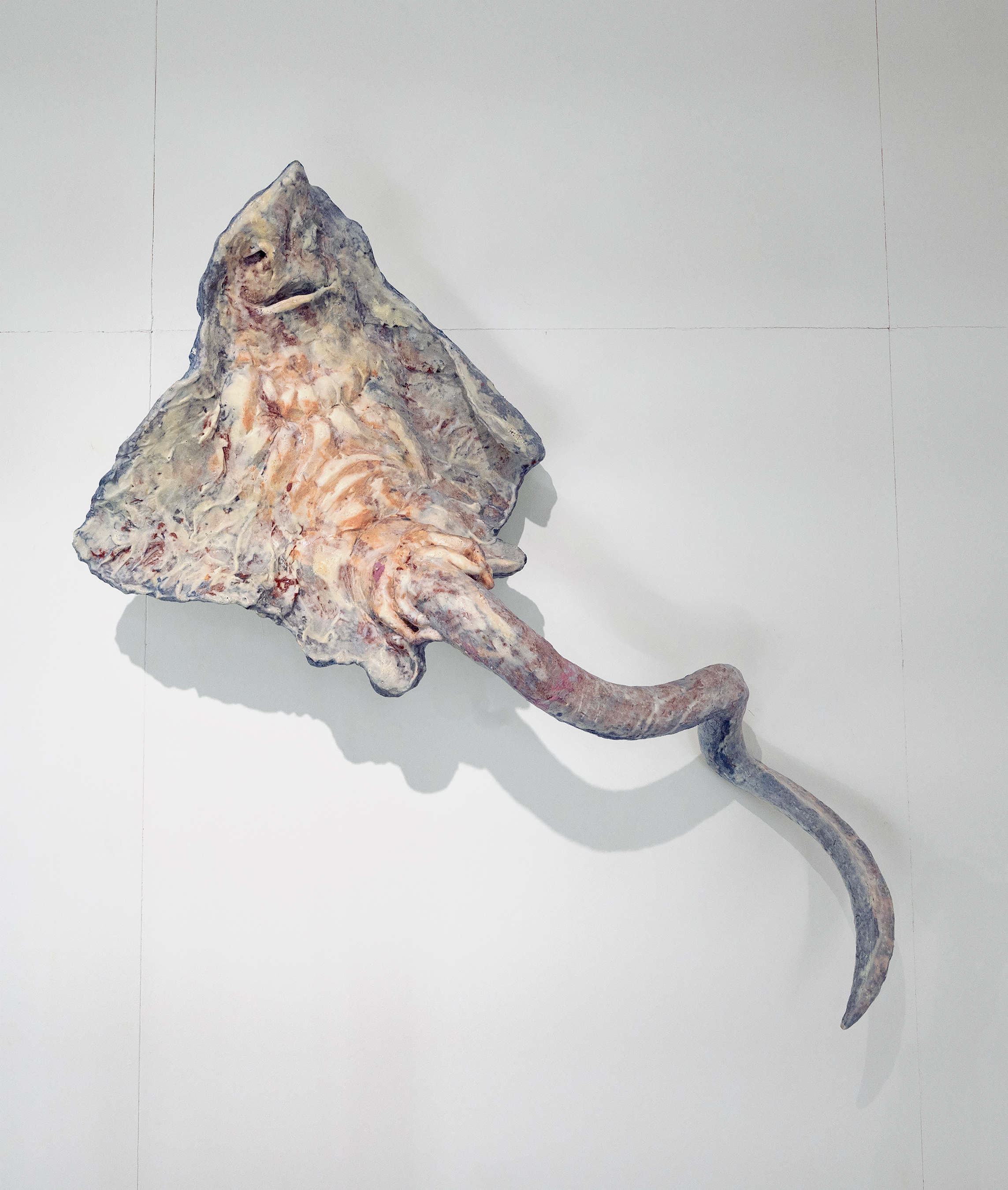 Whale Fall, Chardin's Ray. Nicholas Crombach and Nurielle Stern